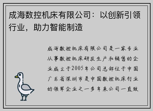 成海数控机床有限公司：以创新引领行业，助力智能制造